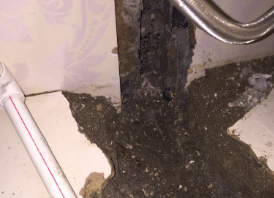 毕节卫生间测漏水哪家好