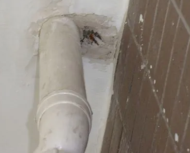 毕节漏水检测哪家好